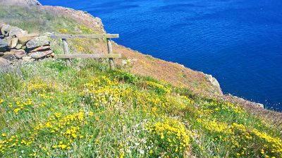 Mull of Galloway: Core Path No 399