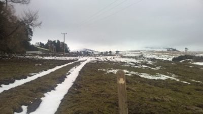On the Cateran Trail: Glenshee